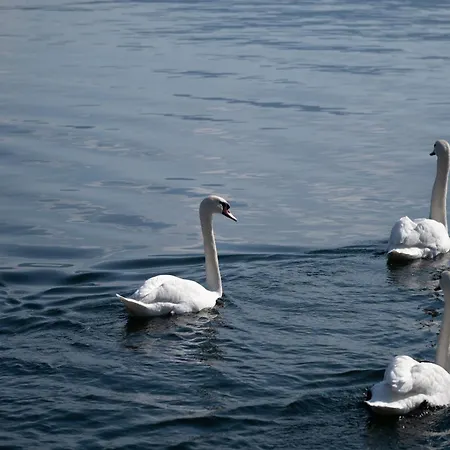 Lakeside Traunsee Apartment