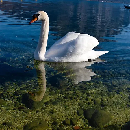 Lakeside Traunsee * Altmuenster